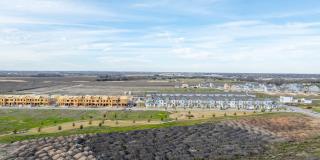 Mihir Taylor Gallery 34