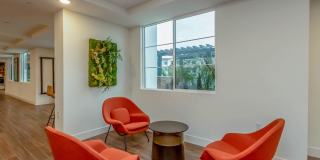 Vineyards Gallery 100