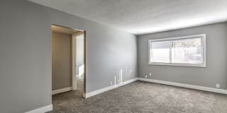 Andrew Gallery 9