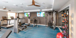 770 South Harbor Gallery 41