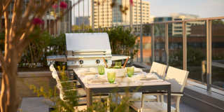 Skymark Reston Town Center Gallery 21