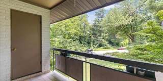 2844 DOVER LN #304 Gallery 1