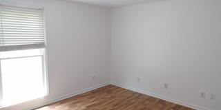 1217 Colorado Road Gallery 28
