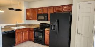 6694 ARCHING BRANCH Circle Gallery 5