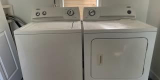 Salua Dr 2419 Gallery 7