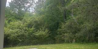 Three Bedroom Home in East Brainerd With ALL Utilities Included Gallery 6