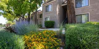 The Boulders Apartments Gallery 37