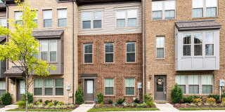 106 ALBANY Place Gallery 1