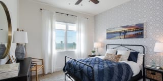 Coastline Ventura Gallery 6