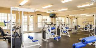 Lifestyles at Los Paseos Apartments Gallery 5
