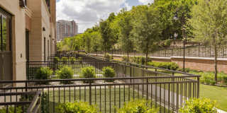 The Park at Katy Trail Gallery 14