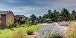 Lovely 1 Bedroom, 1 Bathroom Lakewood Condo! Community POOL!!! Gallery 19