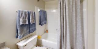 Laurel Oaks Gallery 10