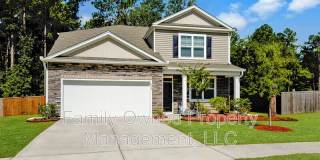422 Blue Elderberry Run Gallery 1