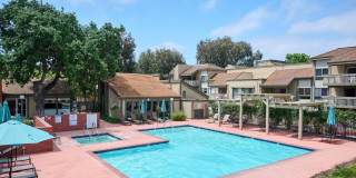 254 Sequoia Court Gallery 35