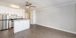 Westside Terrace Gallery 13
