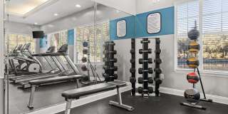 Avenue at Timberlin Park Gallery 12