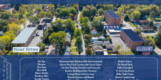 Penny by Allen & Pugh Gallery 9