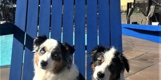 Concierge MN Apartments Gallery 43