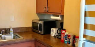 Furnished Move-In Ready Downtown 1br/1ba Apartment on the 5th floor with a Balcony Gallery 4
