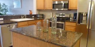 817 Mystic Drive unit: B407 Gallery 6