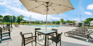 TGM Autumn Woods Gallery 22