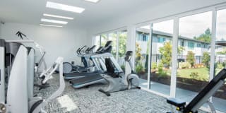 The Groves Gallery 7