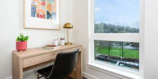 Alexan Main Street Gallery 45