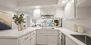 416 Portofino Dr Gallery 2