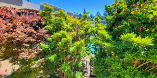 Stunning 2 Bed 2 Bath Penthouse Condo in Los Altos.  Great Schools and Location! Gallery 27