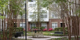 Avalon at Grosvenor Station Gallery 29