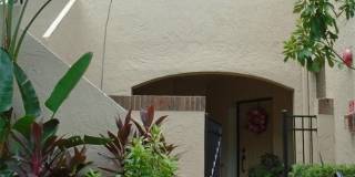 1249 LAKE WILLISARA CIRCLE Gallery 1