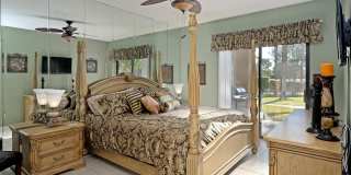28984 Desert Princess Drive Gallery 8