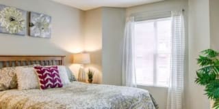 Overton Row Gallery 21