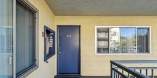 2p008 - Lake View East Gallery 17