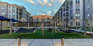 Compass at The Grove Gallery 41