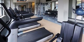 The Allure Mineola Gallery 22