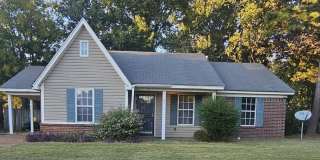 7774 Reese Road Gallery 1