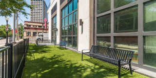 Cortland M-Line Gallery 31