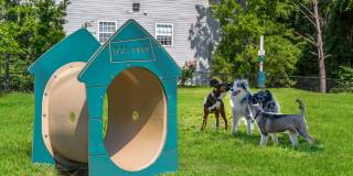 St. Andrews Reserve Gallery 15