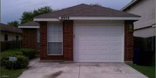 8959 arch Gallery 25