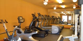 Century Plaza Apartment Homes Gallery 2