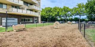 Premier at Cherry Hill Gallery 21