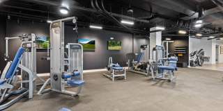 The Access Gallery 27