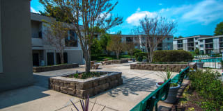 Ashley Apartments Gallery 12