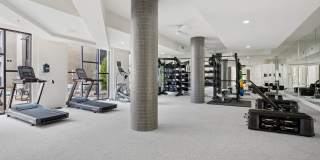 Dorian and Encore Gallery 47