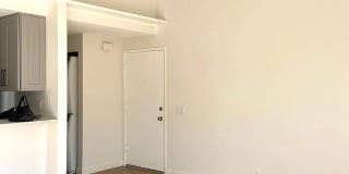 501 Orange Blossom Gallery 4