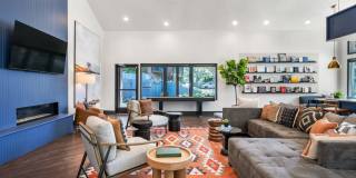 Alta Springs Gallery 34