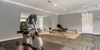 Pear Orchard Gallery 7