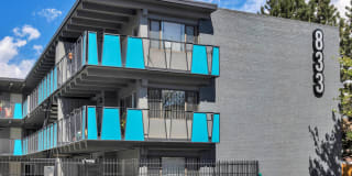 833 Dexter Gallery 2